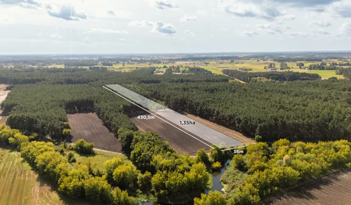 Działka leśna Maurzyce