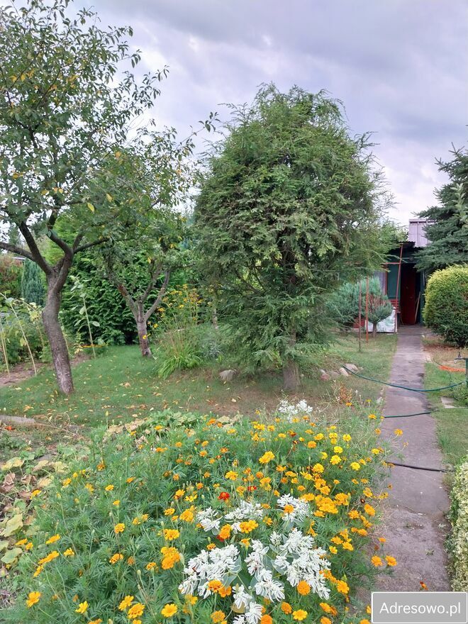 Działka rod Konin, ul. Solna. Zdjęcie 6