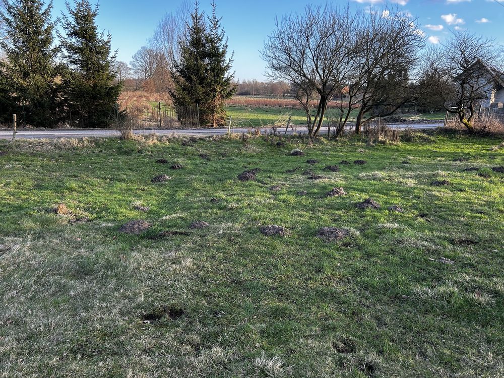 Działka budowlana Trzeszyn. Zdjęcie 7