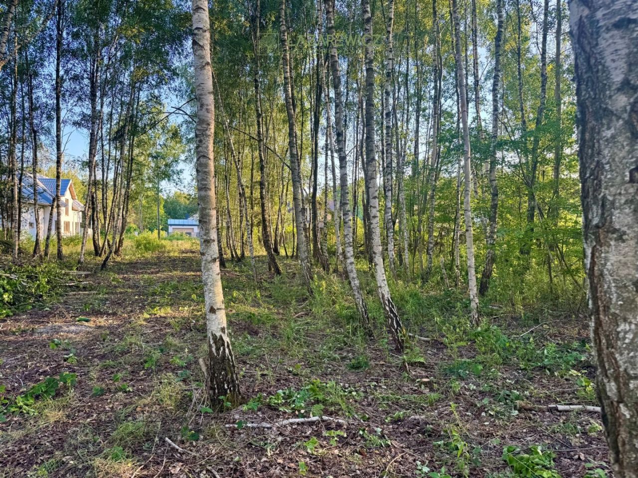 Działka budowlana Pogorzel, ul. Polna. Zdjęcie 2