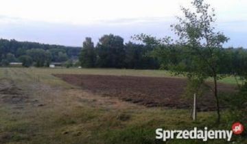 Działka rekreacyjna Życiny