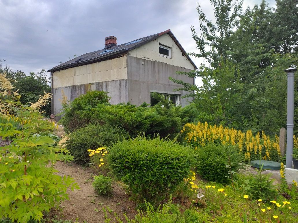 Działka rod Szczecin Bukowo