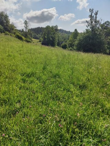 Działka inwestycyjna Gliczarów Dolny. Zdjęcie 4