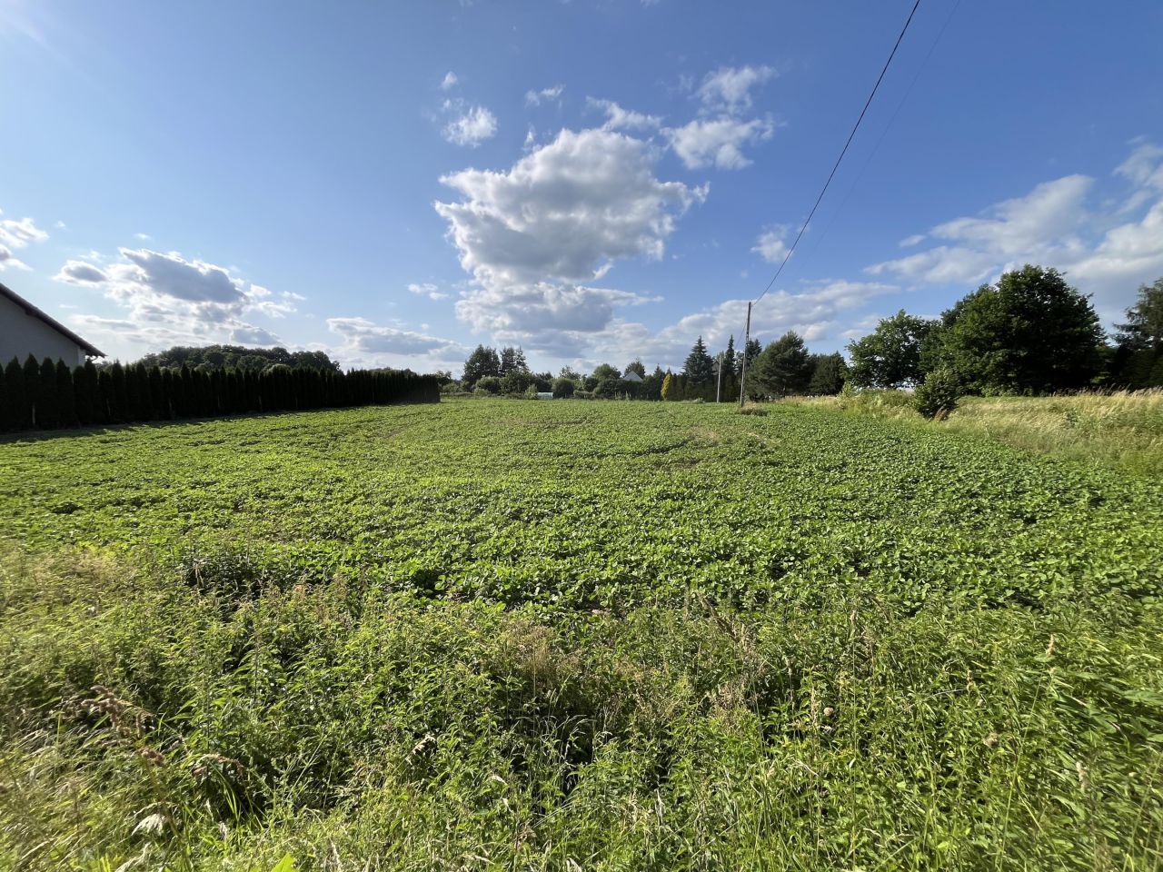 Działka budowlana Bodzanów, os. Osiedle II. Zdjęcie 4