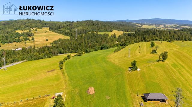 Działka leśna Pieniążkowice. Zdjęcie 14