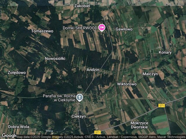 Działka rolno-budowlana Andzin. Zdjęcie 1