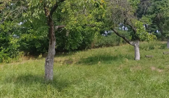 Działka Błażejewo