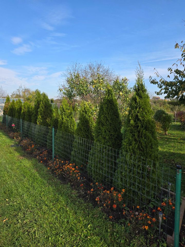 Działka rod Rydlewo. Zdjęcie 3