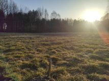 Działka budowlana Piwoda. Zdjęcie 2