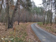 Działka siedliskowa Rudna Mała. Zdjęcie 1