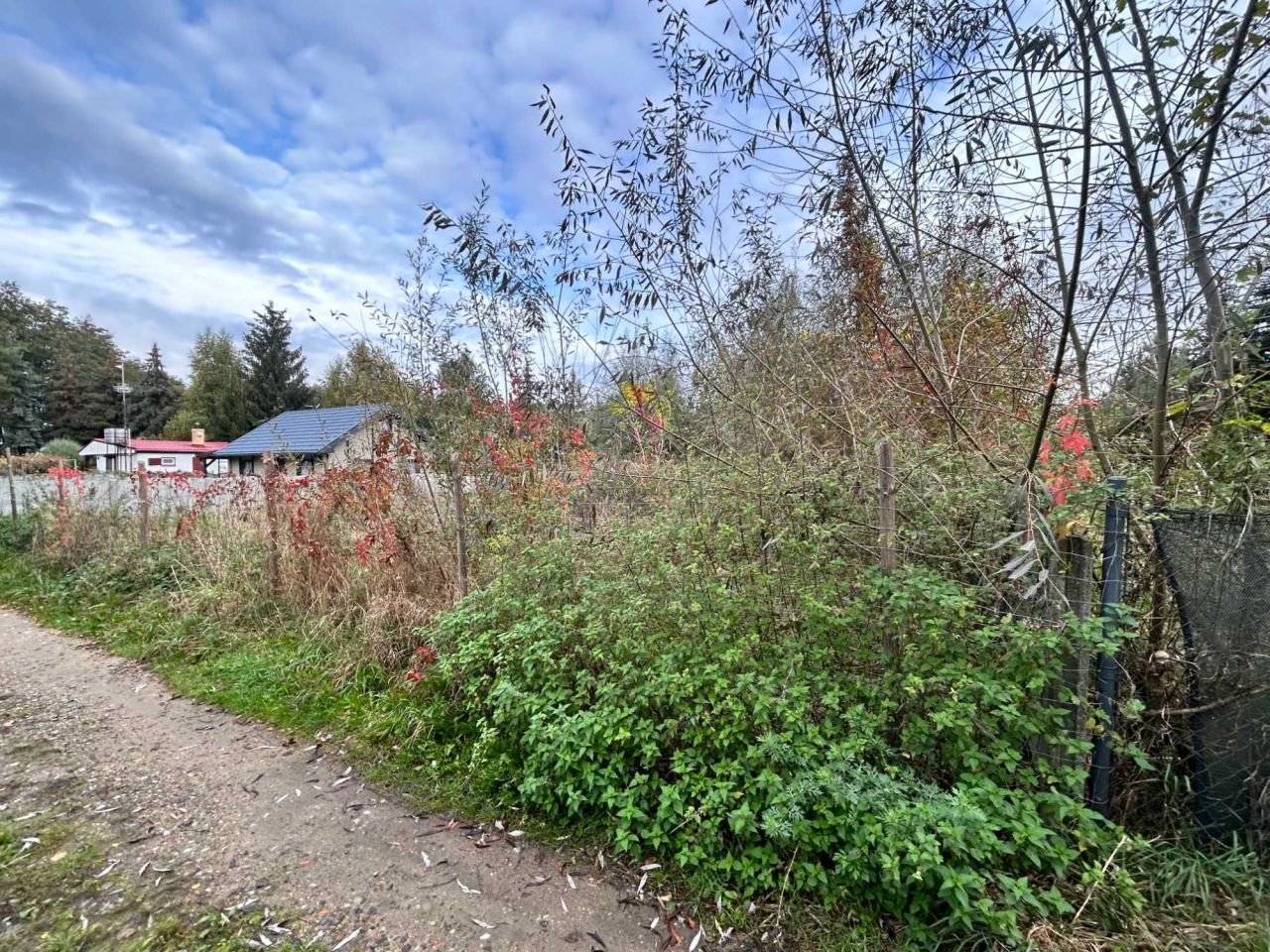 Działka rekreacyjna Strykowo, ul. Morenowa. Zdjęcie 5