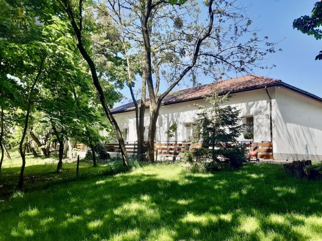 Działka budowlana Luciny. Zdjęcie 3