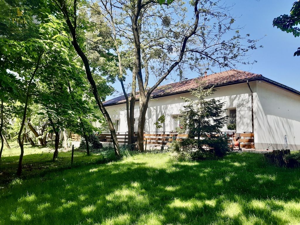 Działka budowlana Luciny. Zdjęcie 3