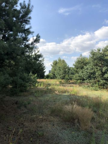 Działka budowlana Budy Wandalińskie. Zdjęcie 1