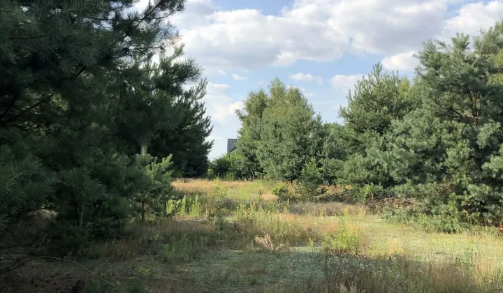 Działka budowlana Budy Wandalińskie