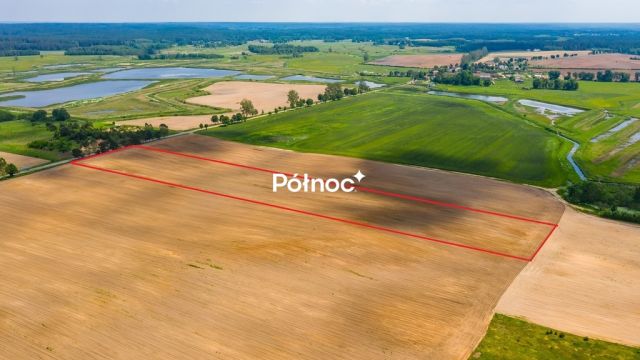 Działka rolna Waliły. Zdjęcie 1