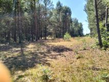 Działka budowlana Łośno. Zdjęcie 3