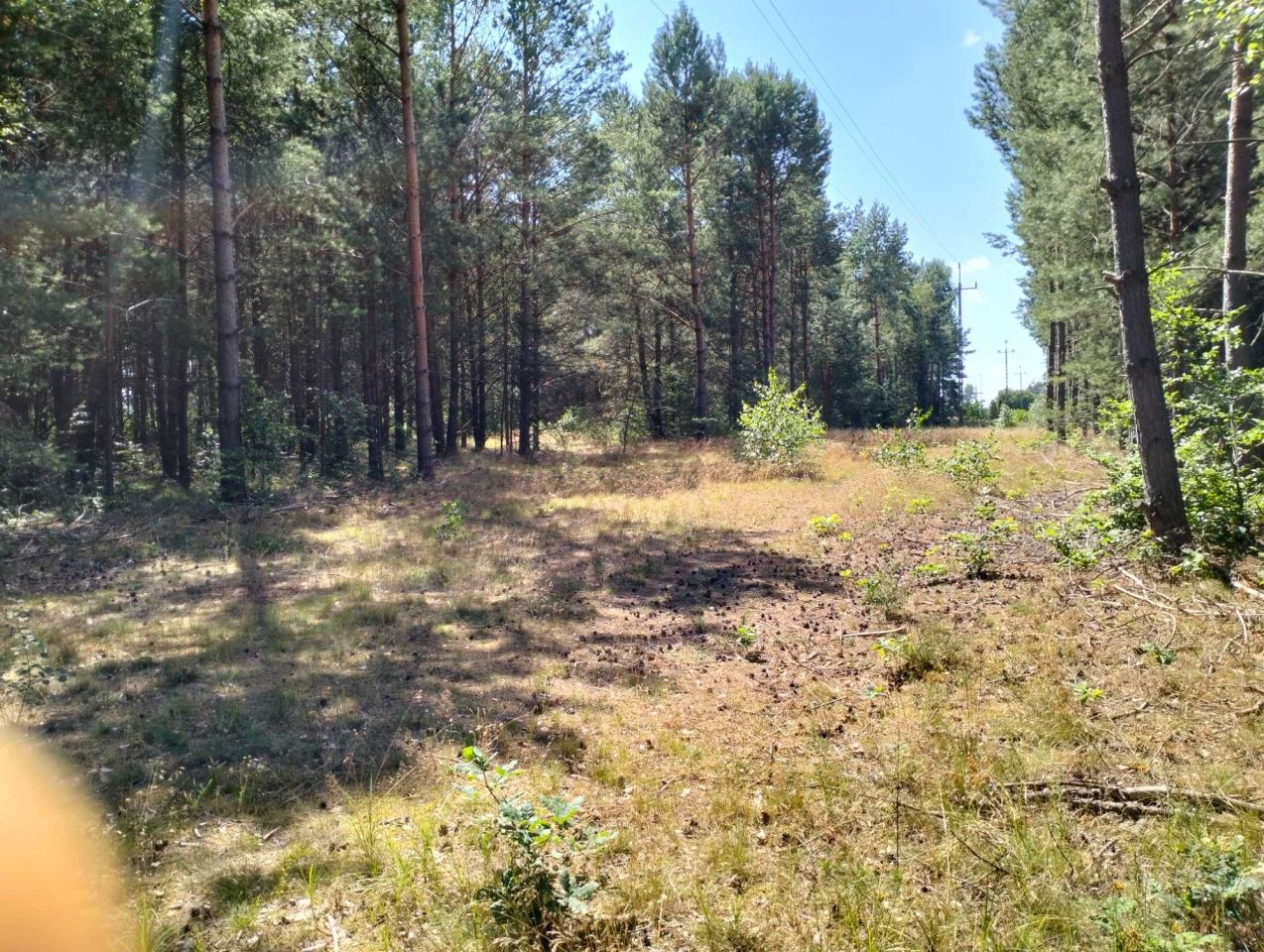 Działka budowlana Łośno. Zdjęcie 4