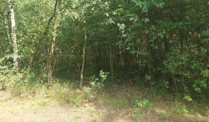 Działka rekreacyjna Kaleń