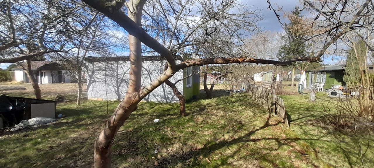 Działka rod Zielona Góra Ochla, ul. Ochla-Kożuchowska. Zdjęcie 7