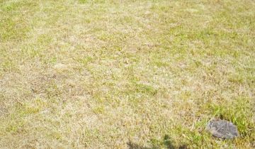 Działka rod Wrocław Krzyki, ul. Wiaduktowa