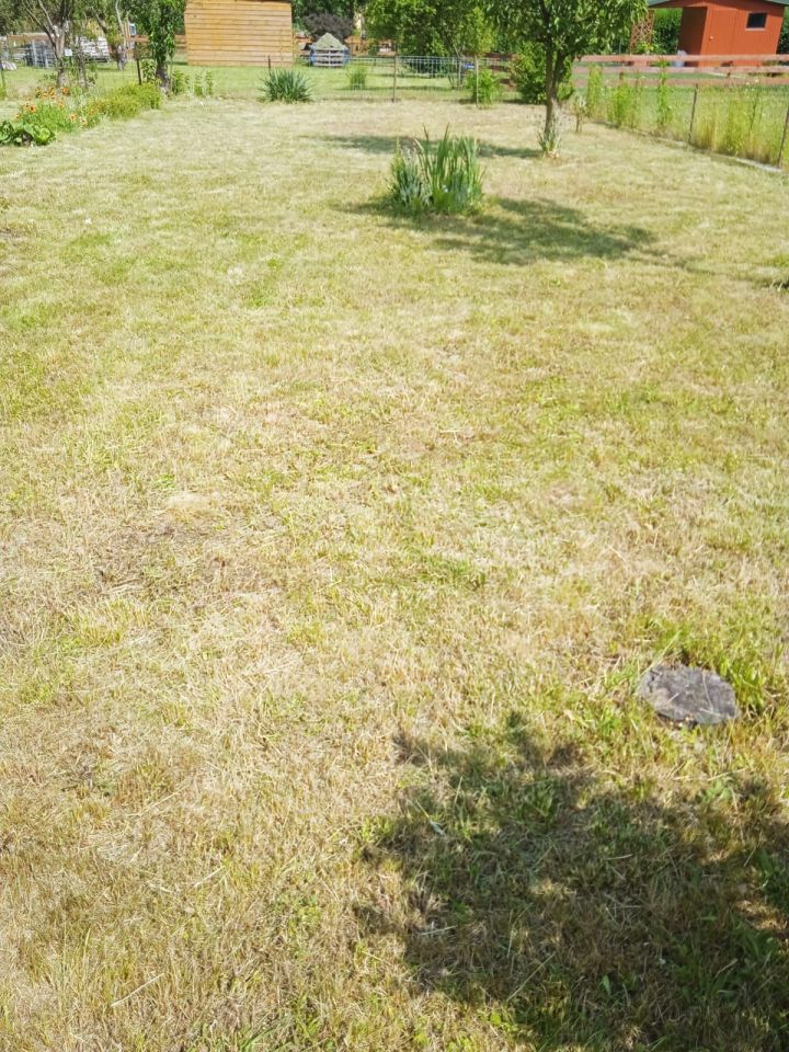 Działka rod Wrocław Krzyki, ul. Wiaduktowa. Zdjęcie 2