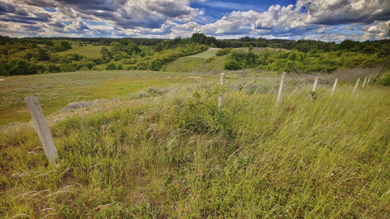 Działka rolna Łęgowo. Zdjęcie 5