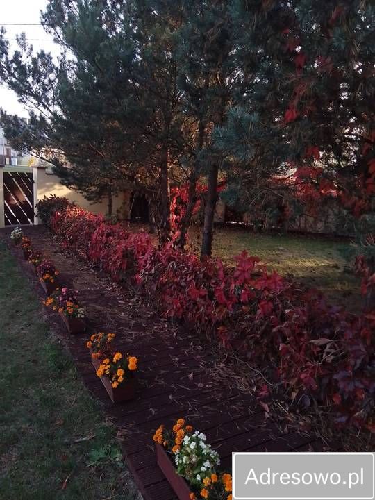 dom wolnostojący Dąbrówka, ul. Kościelna. Zdjęcie 6