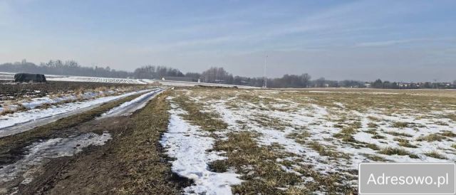 Działka budowlana Mikołów Bujaków, ul. Szkolna. Zdjęcie 1