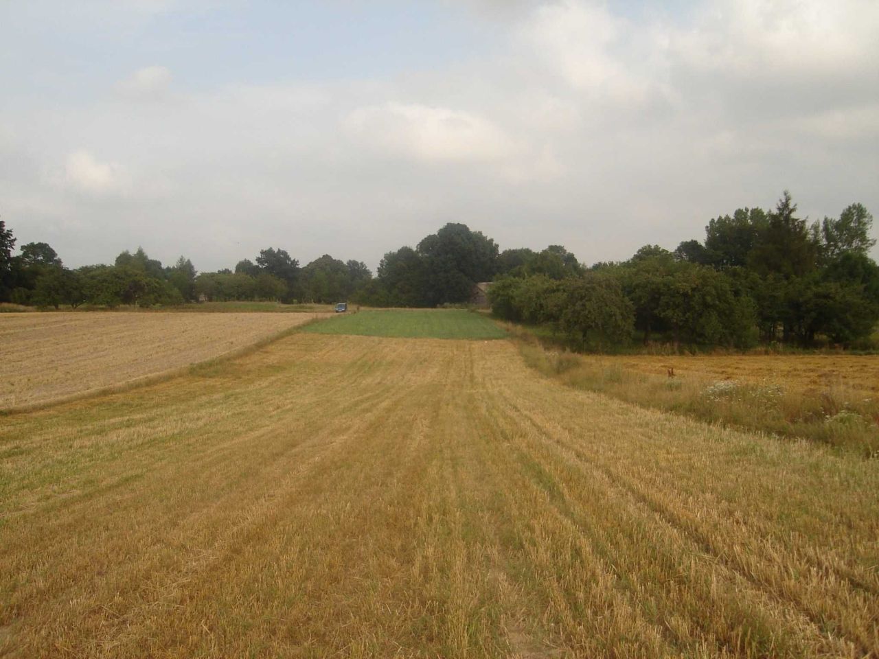 Działka rolno-budowlana Ulina Mała. Zdjęcie 7