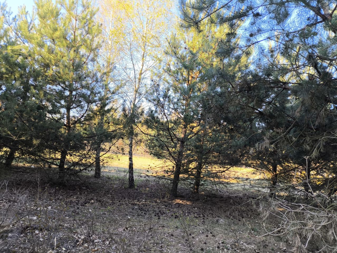 Działka budowlana Podole. Zdjęcie 3