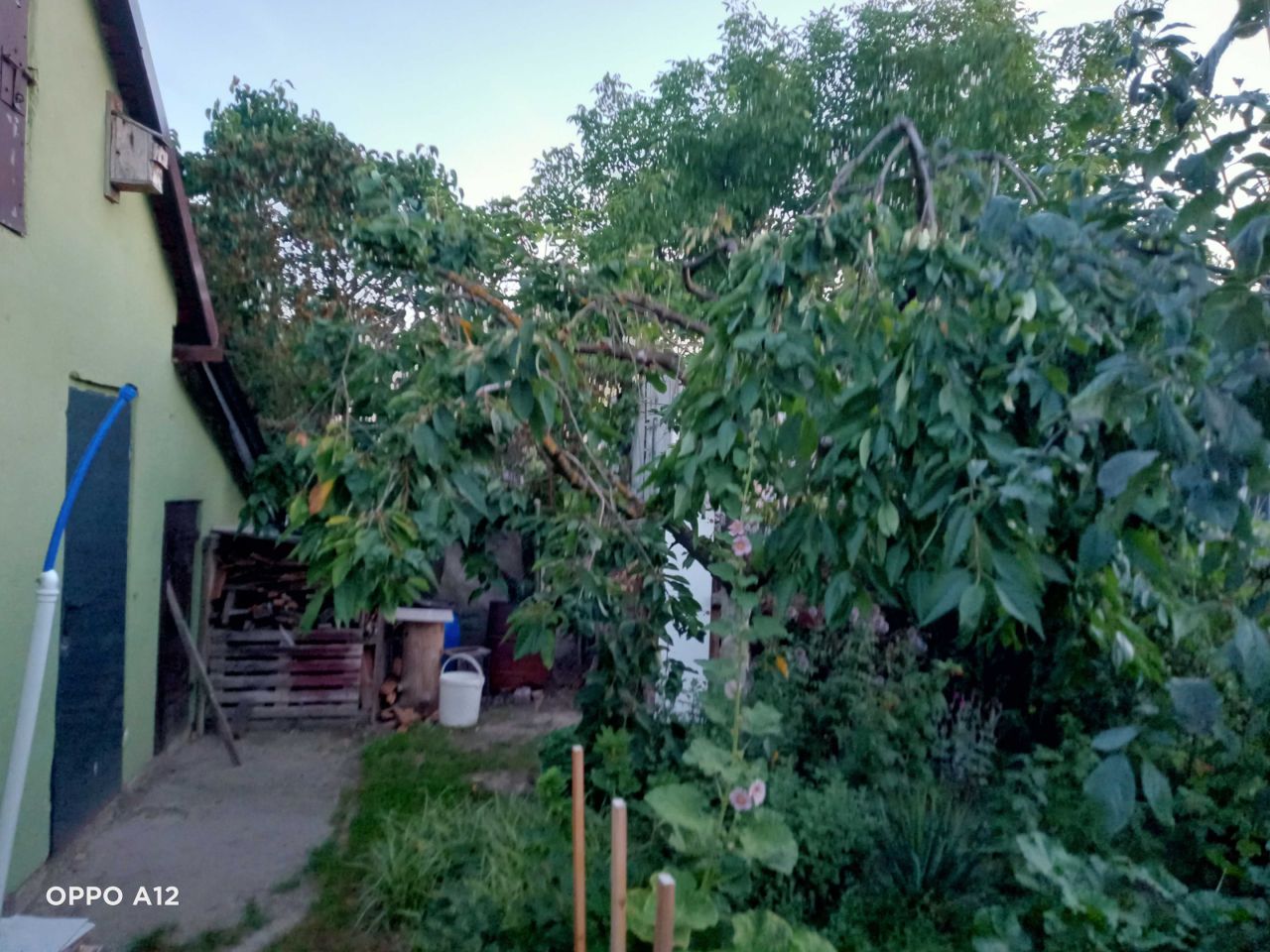 Działka rod Szczecin Pomorzany, ul. Przy Ogrodach. Zdjęcie 6