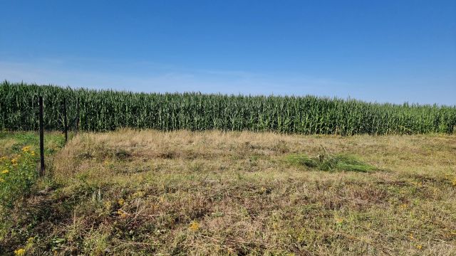 Działka budowlana Połchowo, ul. Polna. Zdjęcie 1