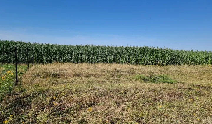 Działka budowlana Połchowo, ul. Polna