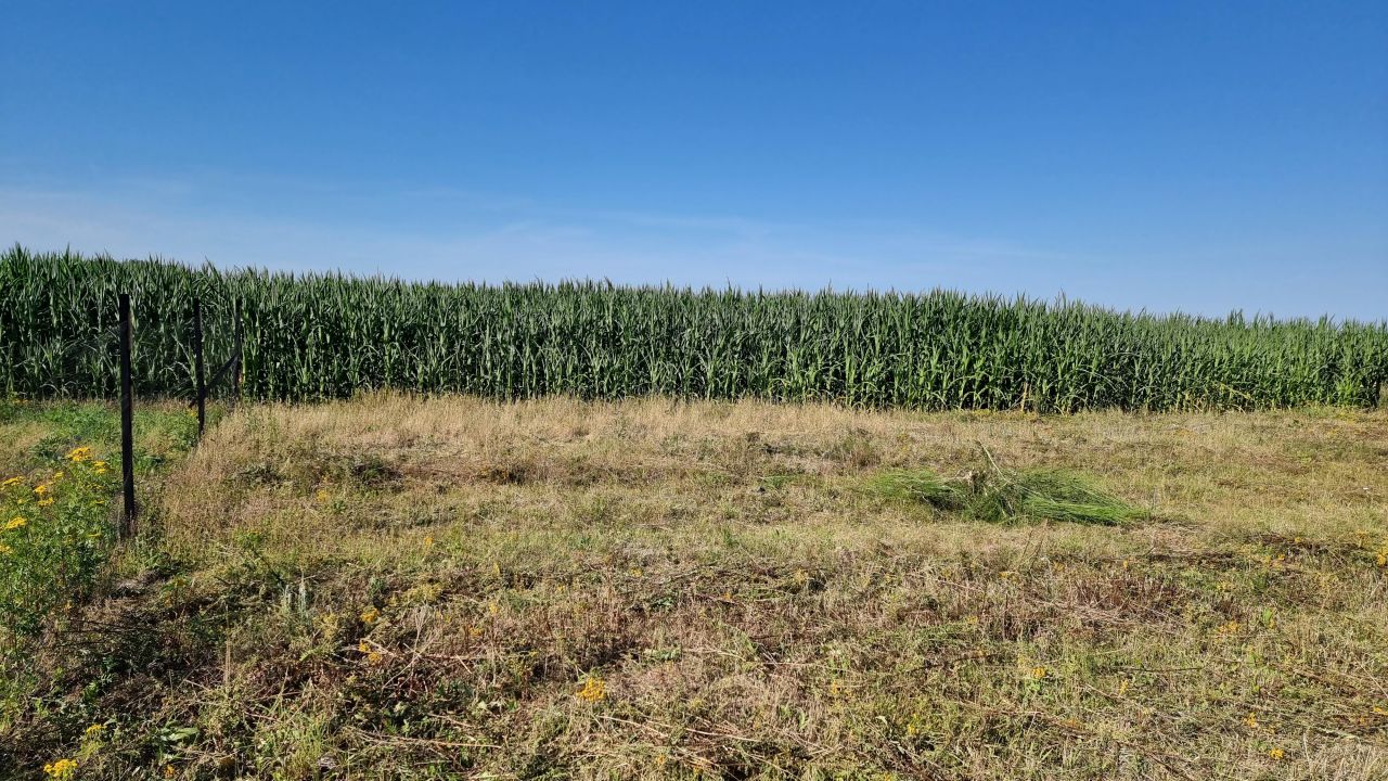 Działka budowlana Połchowo, ul. Polna