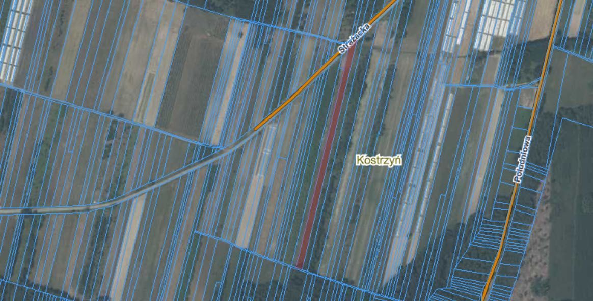 Działka rolna Kostrzyn. Zdjęcie 7