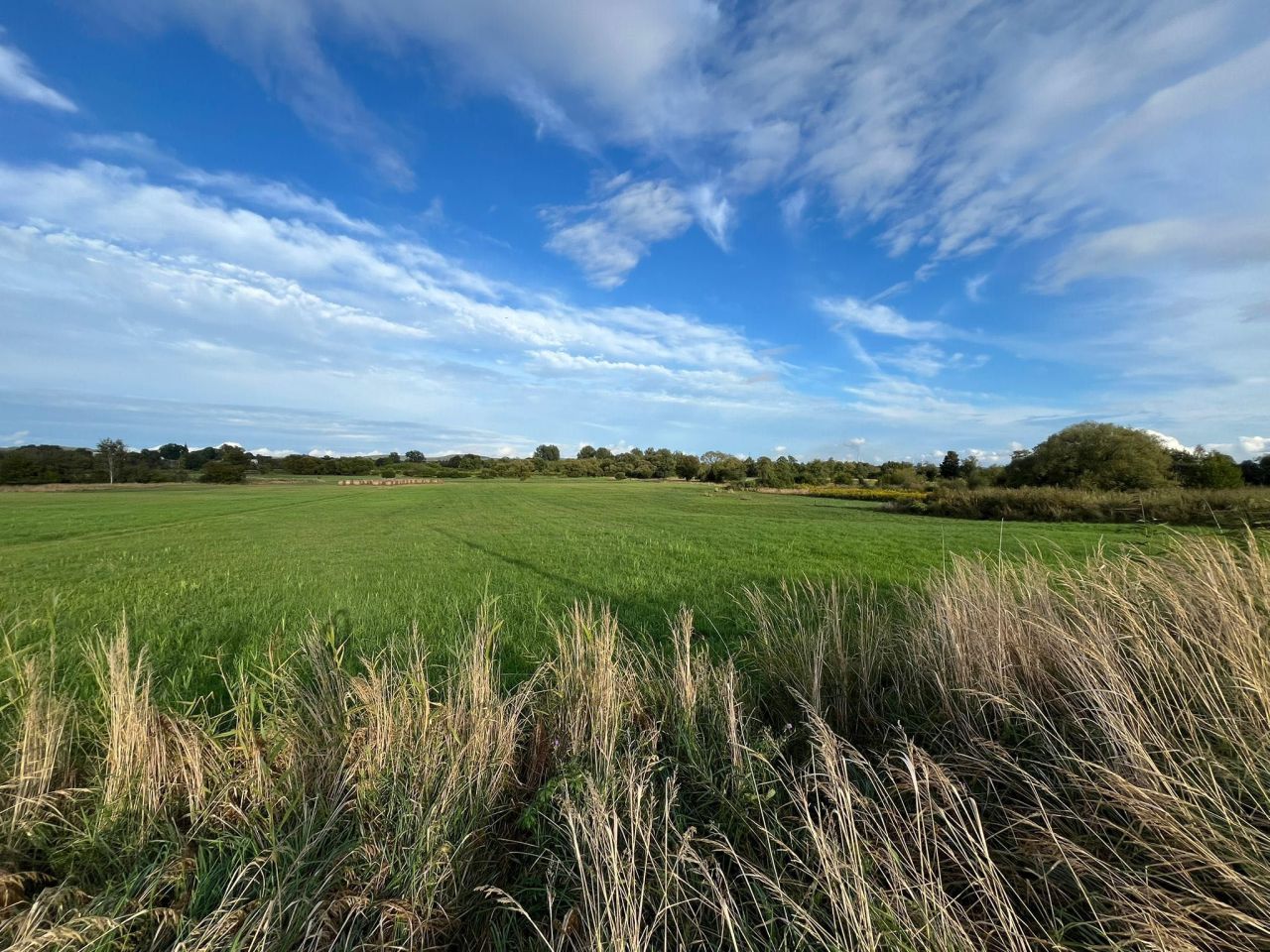 Działka rolna Warężyn Kuźnica Warężyńska