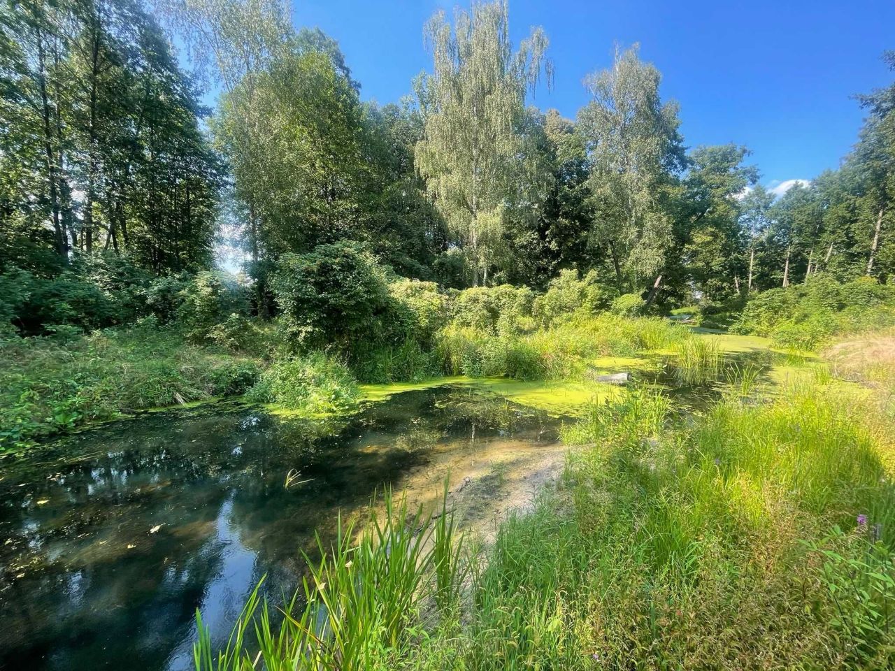 Działka budowlana Chrzczanka-Folwark. Zdjęcie 8