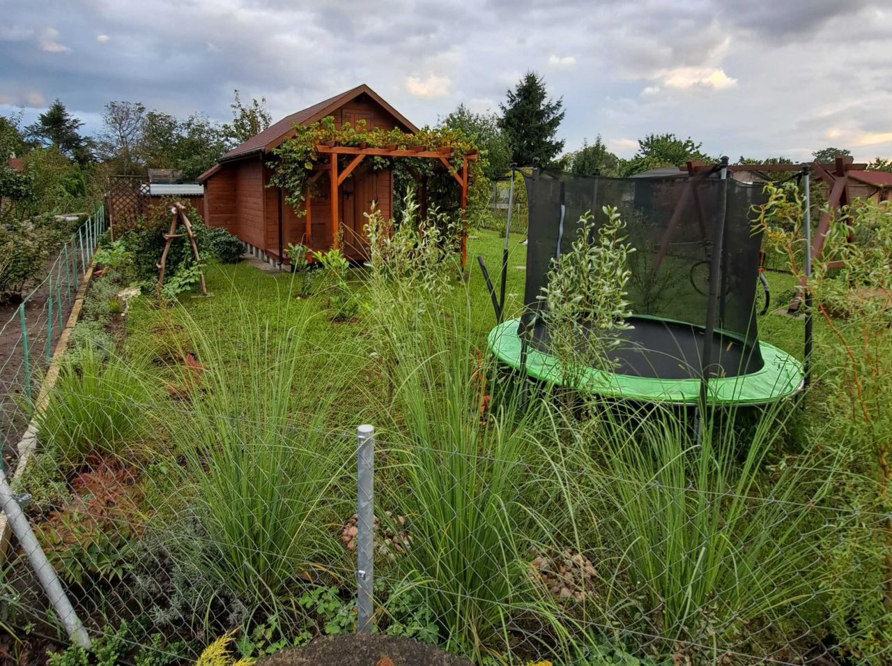 Działka rod Wrocław Krzyki. Zdjęcie 7