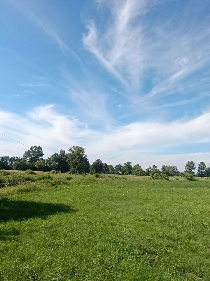 Działka budowlana Rojewice. Zdjęcie 1