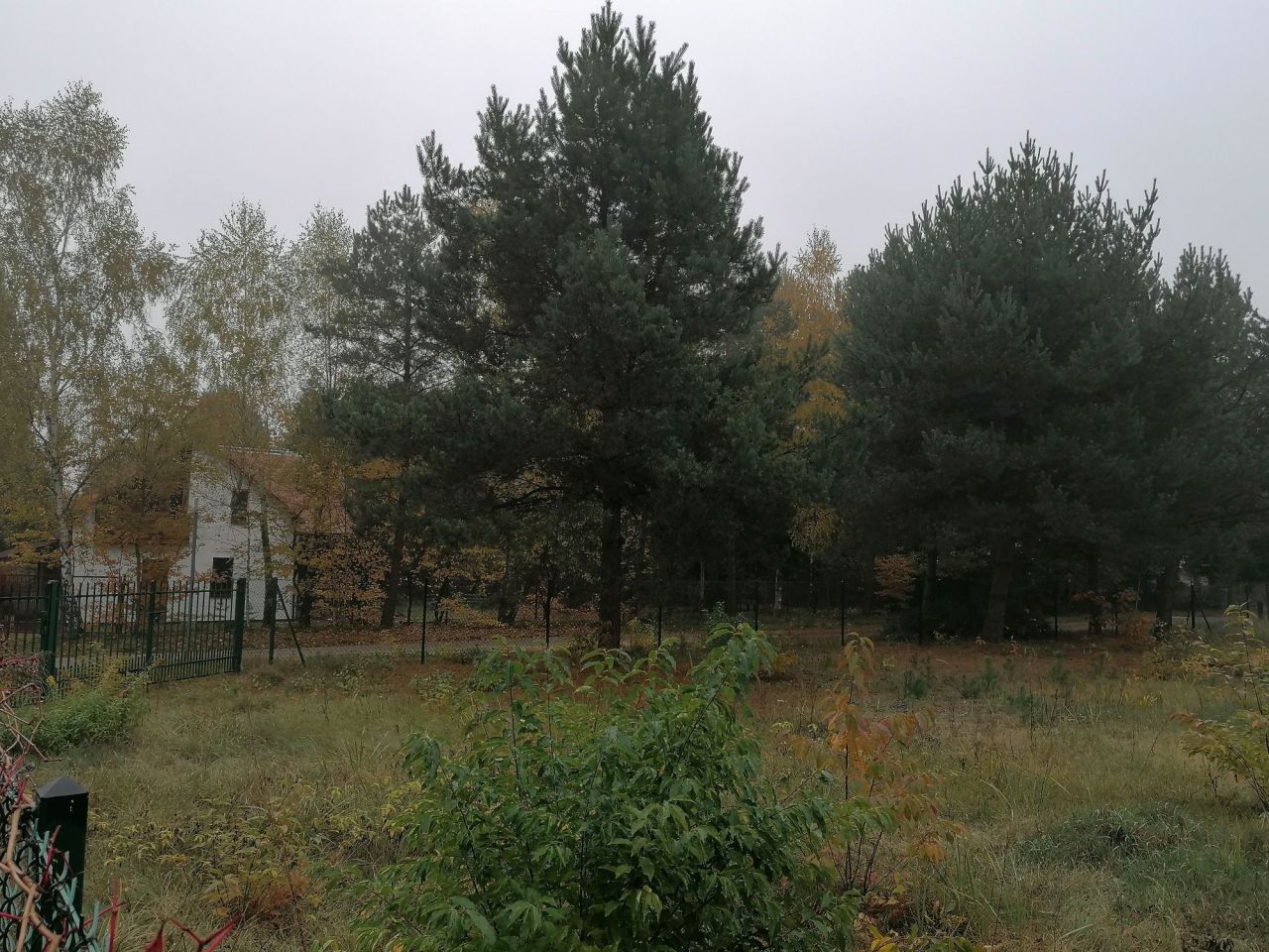 Działka rekreacyjna Orchówek. Zdjęcie 8