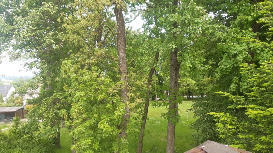 Mieszkanie 2-pokojowe Szczenurze. Zdjęcie 10