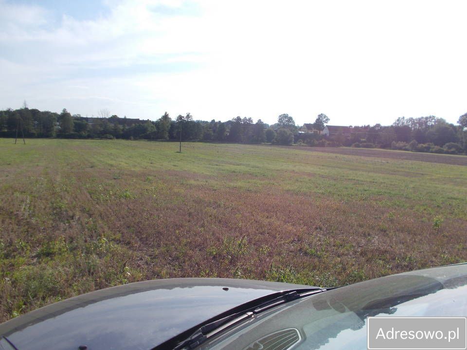 Działka siedliskowa Sapałówka. Zdjęcie 4