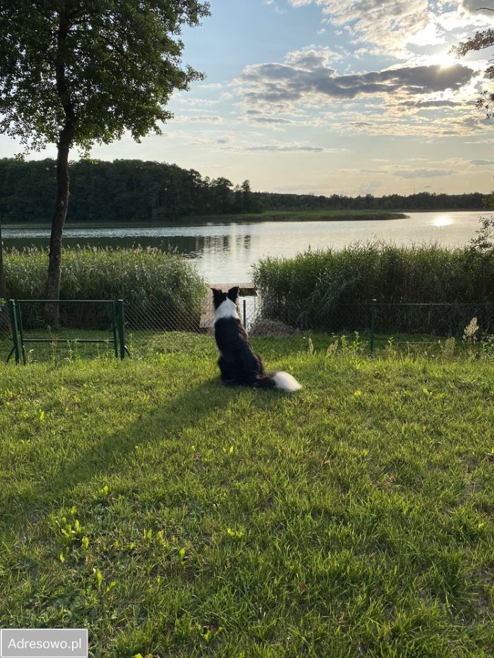 Działka budowlana Stare Kiejkuty. Zdjęcie 5