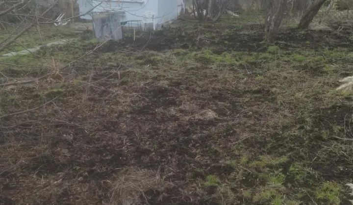 Działka rod Gdańsk Zaspa, ul. Zaścianek