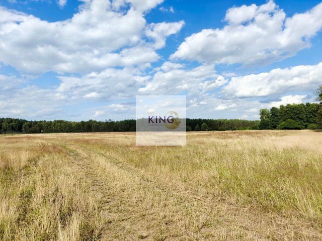 Działka rolna Stolec. Zdjęcie 1