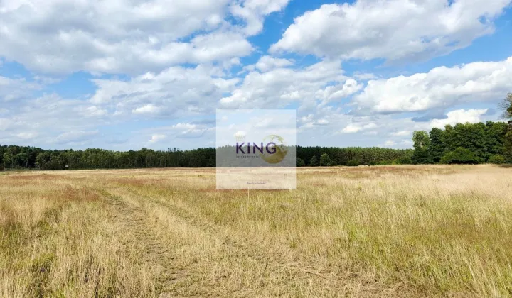 Działka rolna Stolec