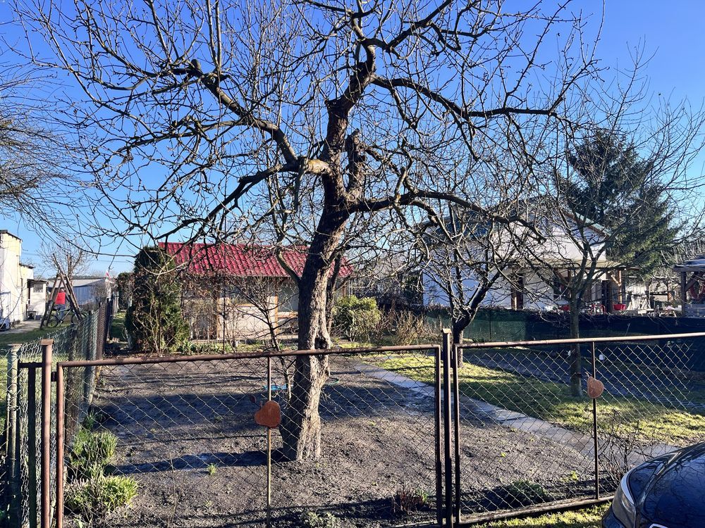 Działka rod Grudziądz. Zdjęcie 6