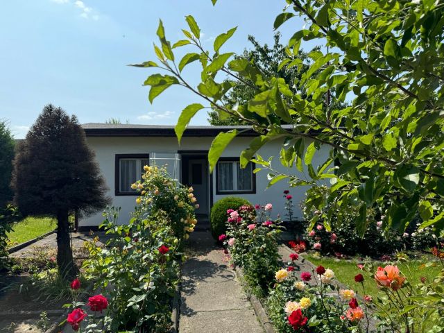 Działka rod Gliwice Trynek, Gliwice Trynek. Zdjęcie 1