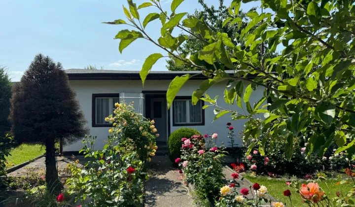 Działka rod Gliwice Trynek, Gliwice Trynek